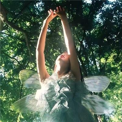 腼腆英雄第二季